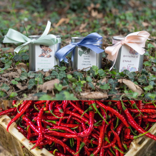 BOMBONIERE OLIO IN LATTA AL PEPERONCINO azienda agricola la collina di francesco minotti